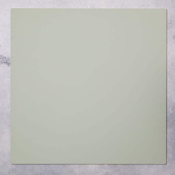 Canvas SURFACE Backdrops - Double-sided Monochromatic Green